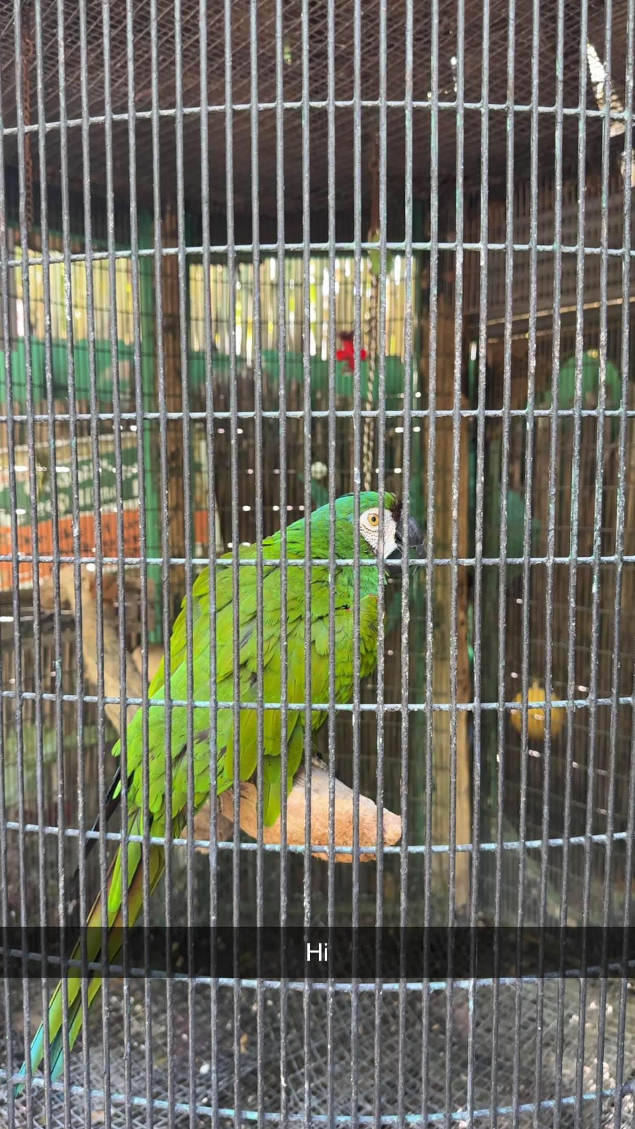 mia_sweitz snapchat image archive image