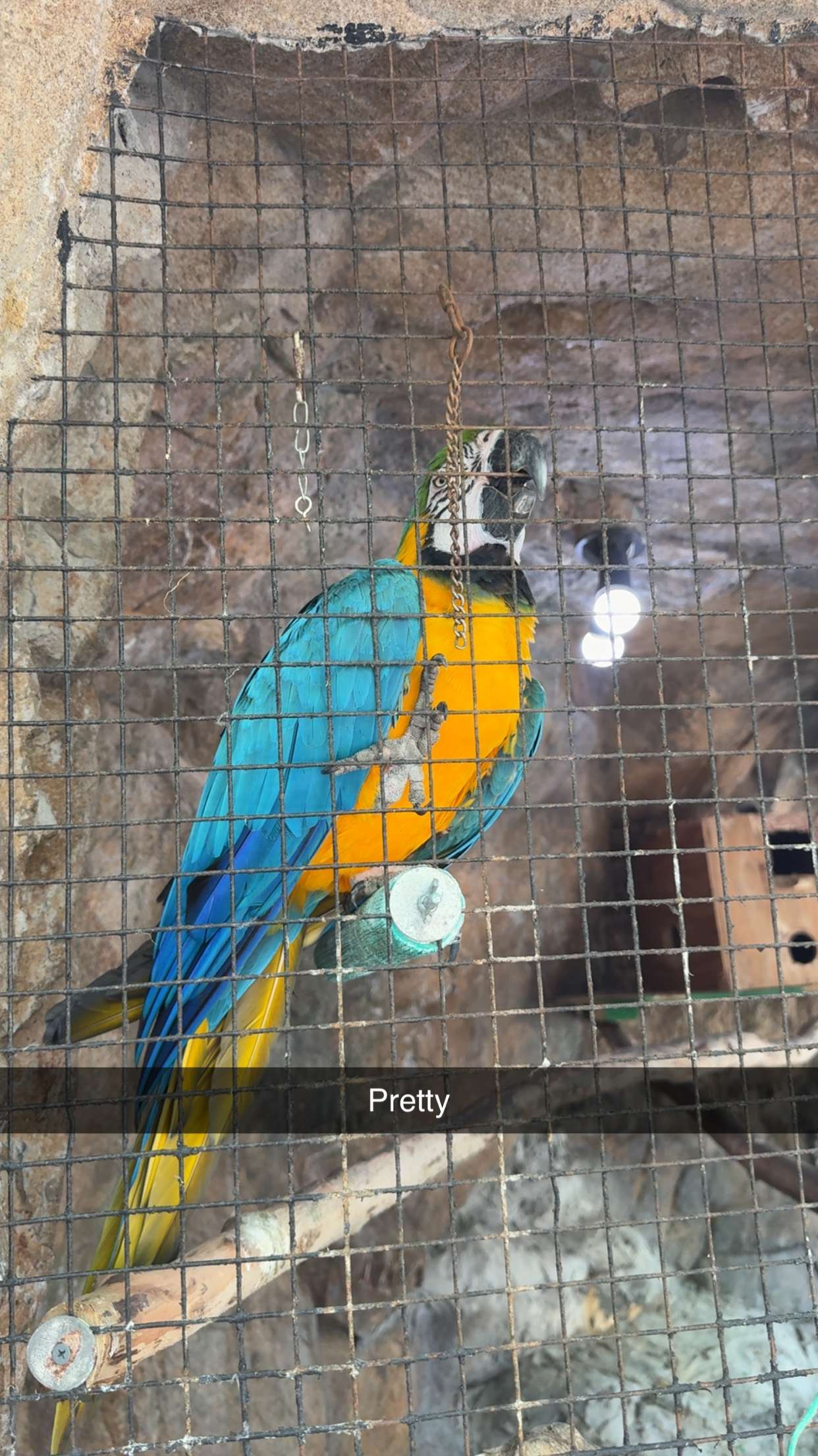 mia_sweitz snapchat image archive image