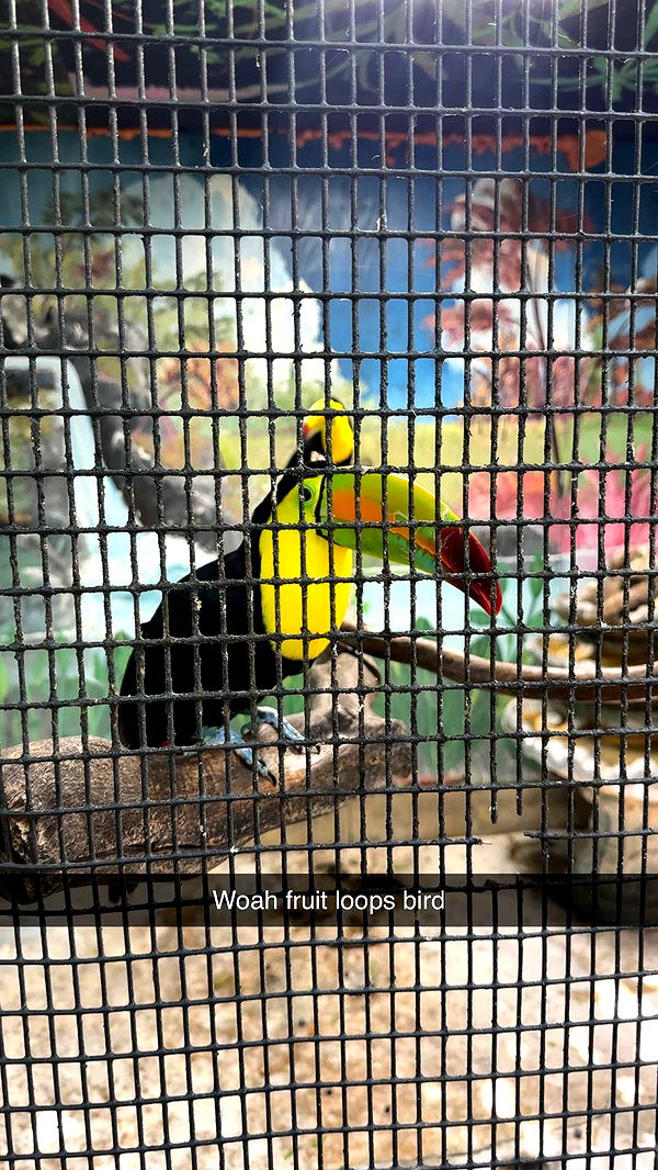 mia_sweitz image ~ Altpins