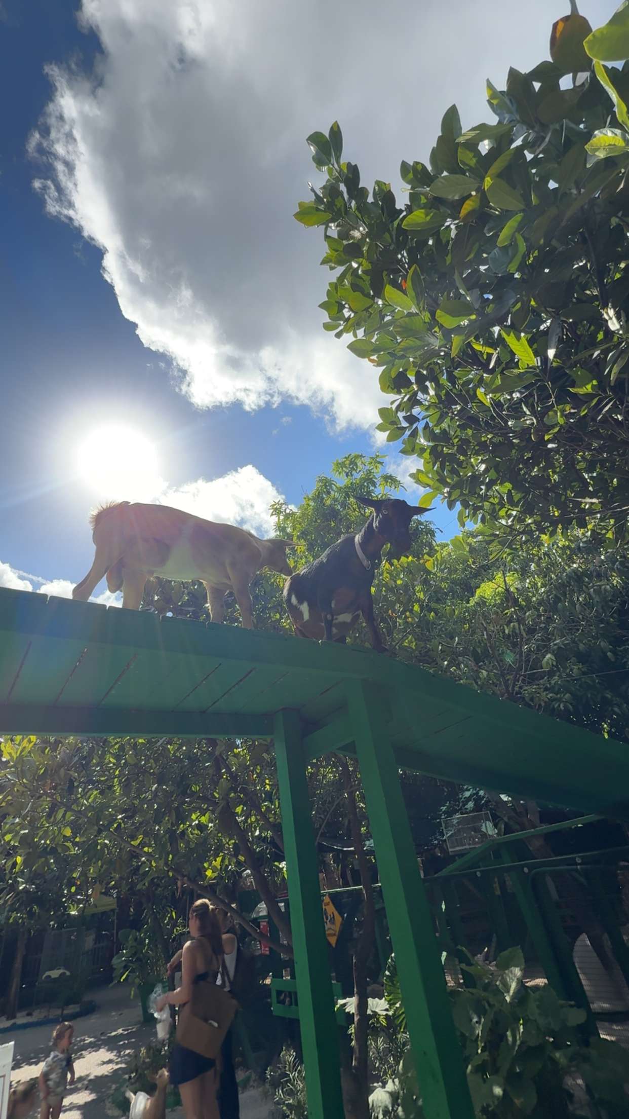 mia_sweitz snapchat image archive image