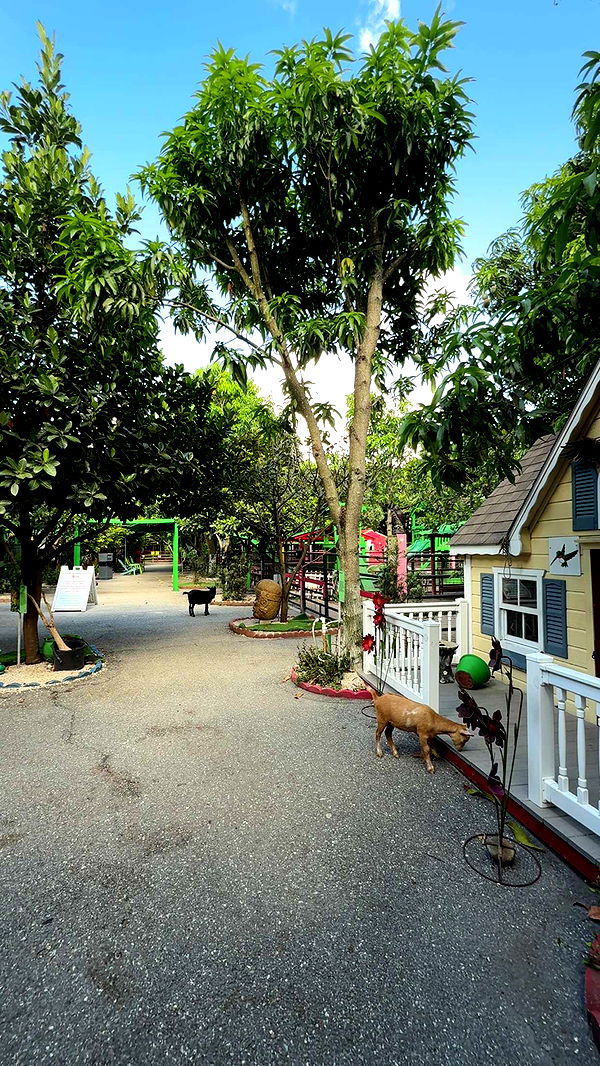 mia_sweitz image ~ Altpins