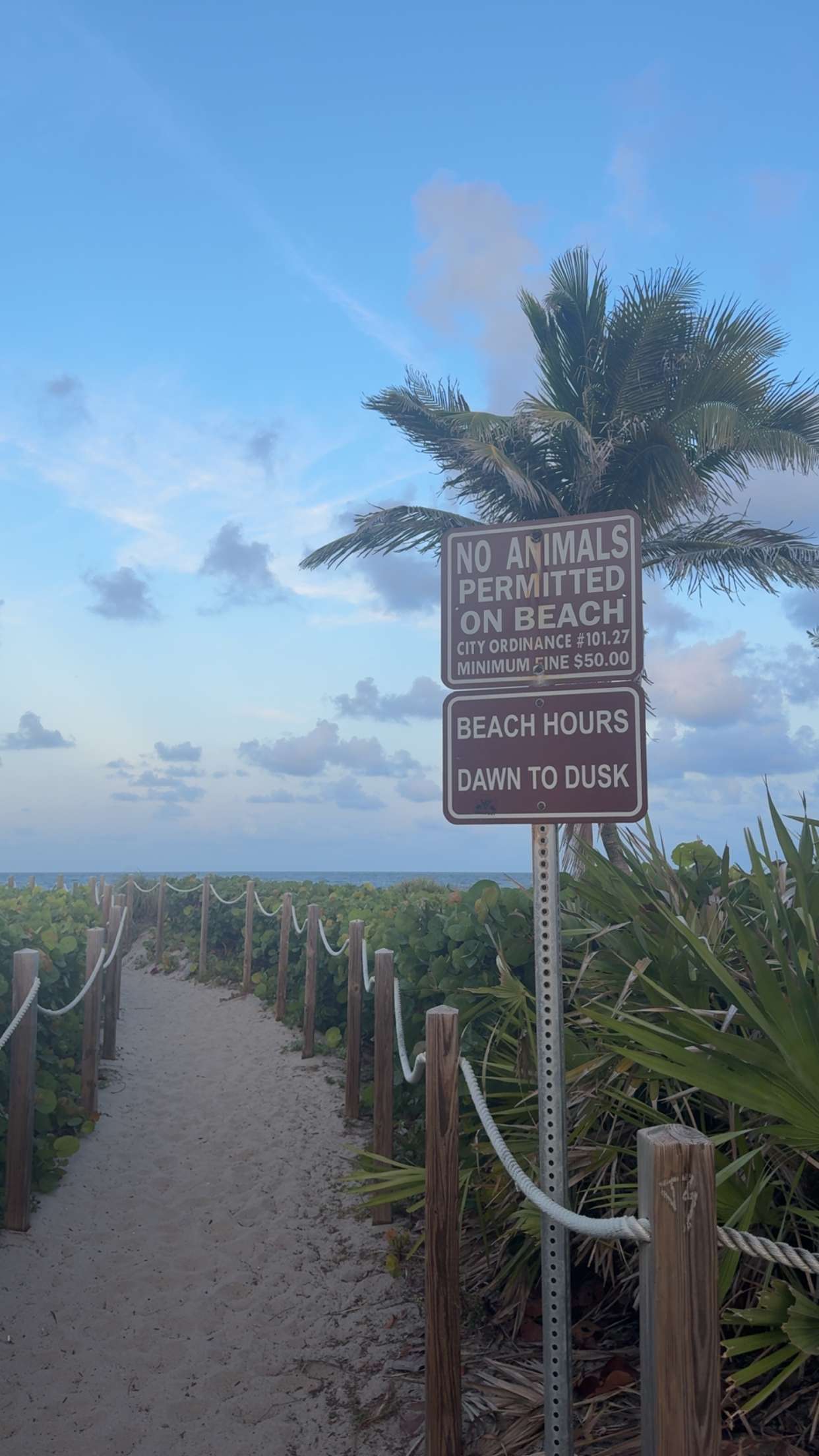 mia_sweitz snapchat image archive image