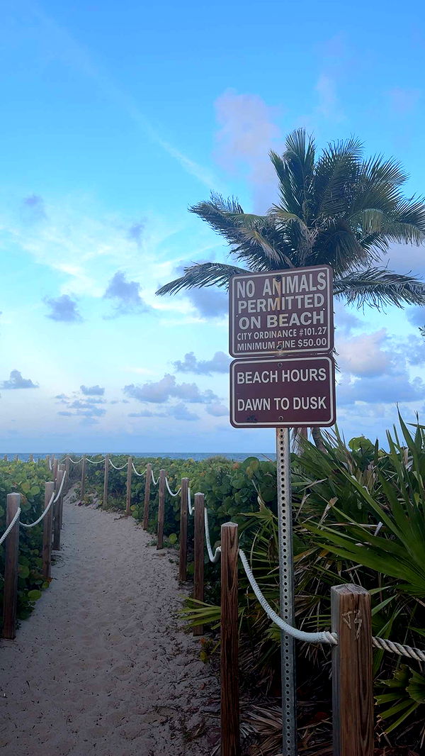 mia_sweitz image ~ Altpins