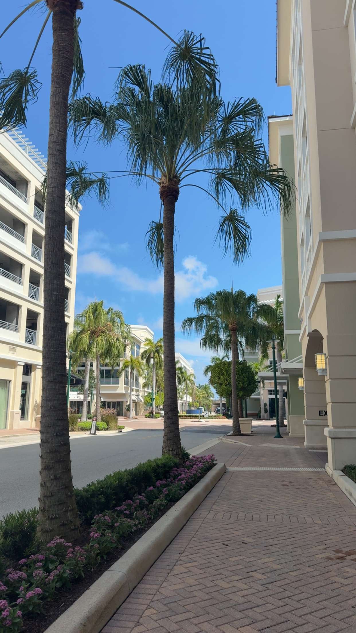 mia_sweitz snapchat image archive image