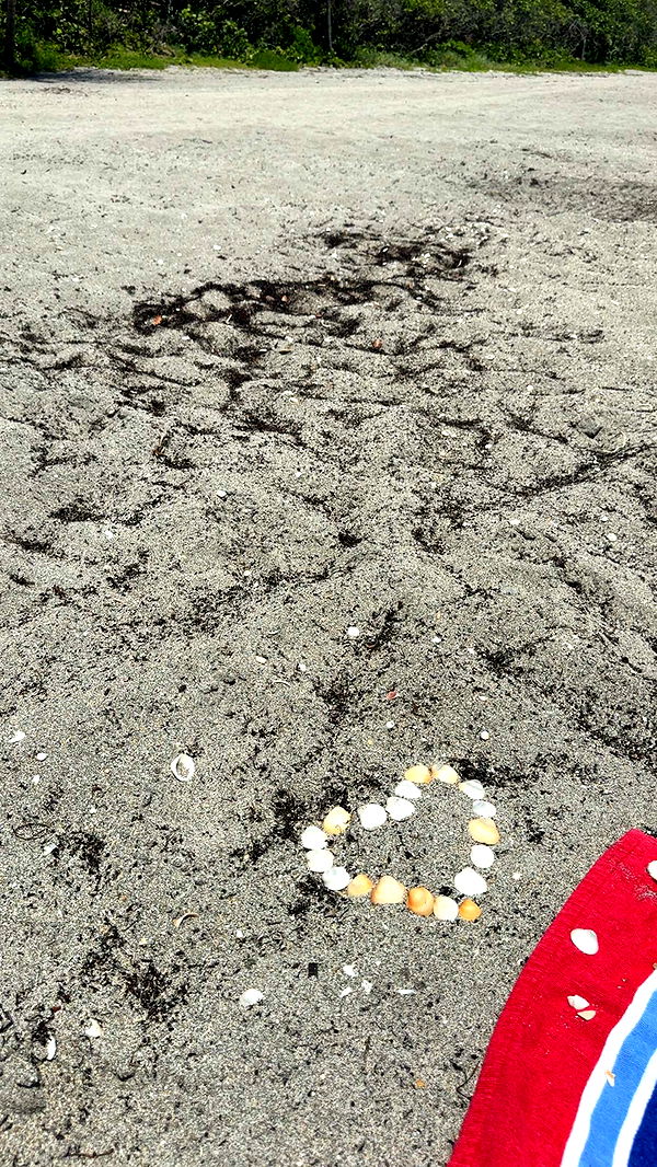 mia_sweitz image ~ Altpins