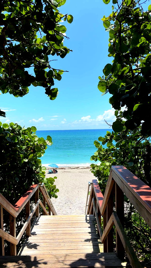 mia_sweitz image ~ Altpins