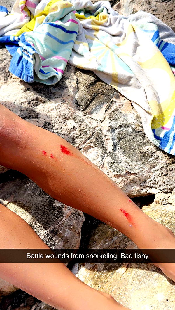 mia_sweitz image ~ Altpins