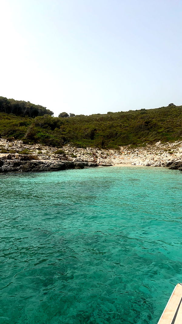 mia_sweitz image ~ Altpins