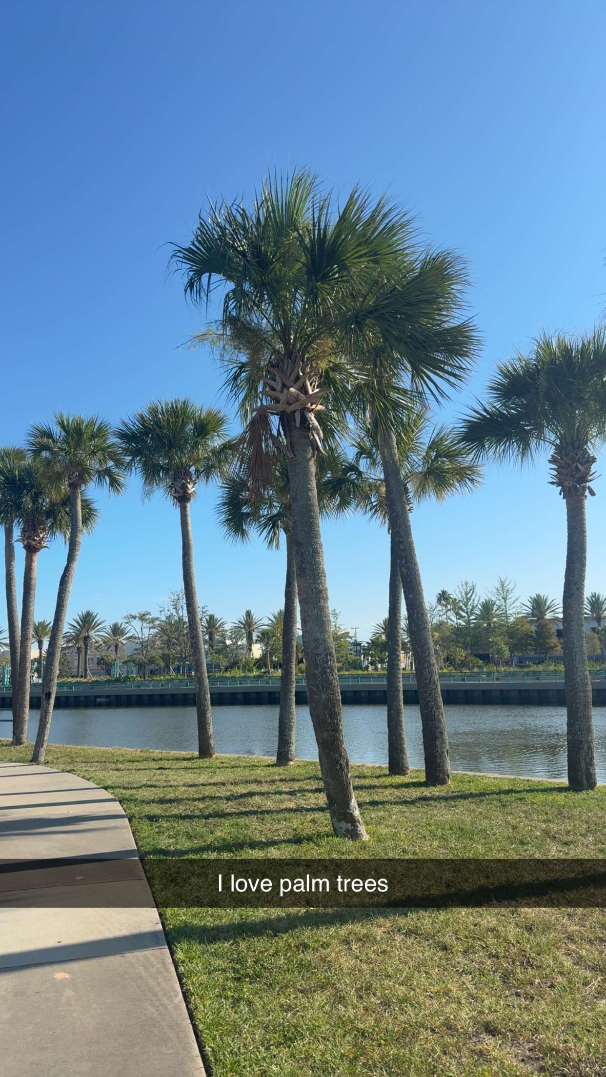 mia_sweitz snapchat image archive image