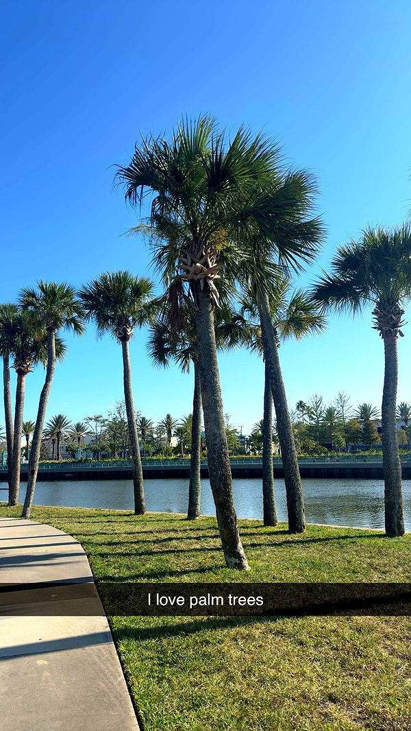 mia_sweitz image ~ Altpins