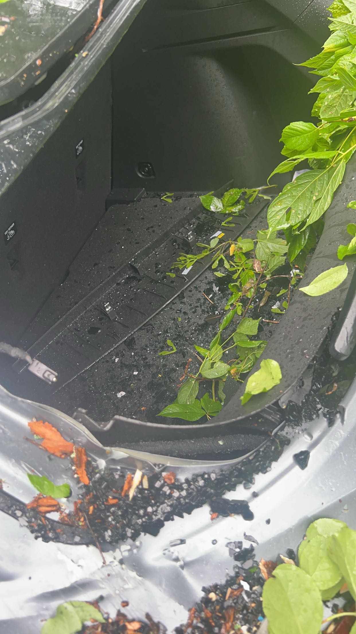 mia_sweitz snapchat image archive image