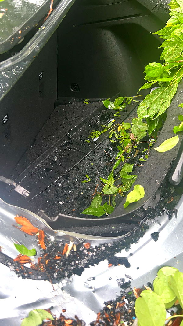 mia_sweitz image ~ Altpins