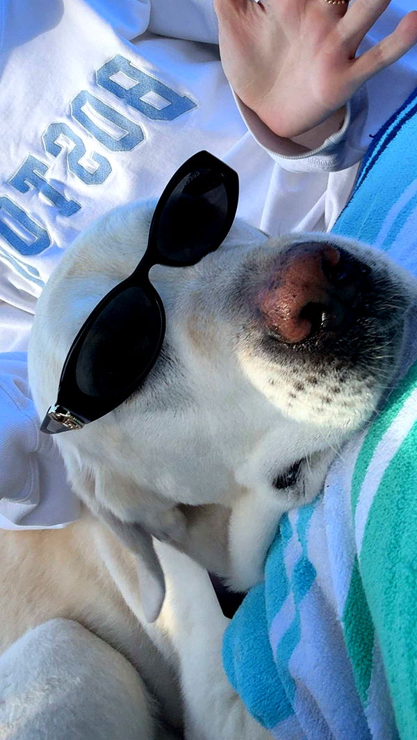 mia_sweitz image ~ Altpins