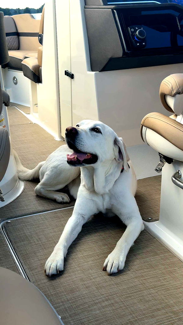 mia_sweitz image ~ Altpins