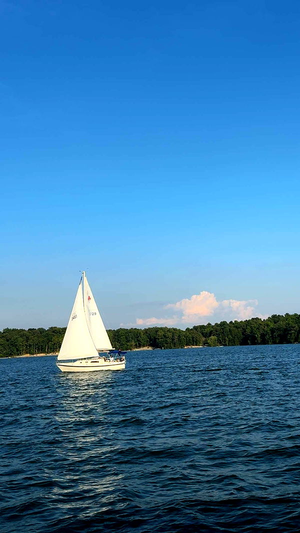 mia_sweitz image ~ Altpins