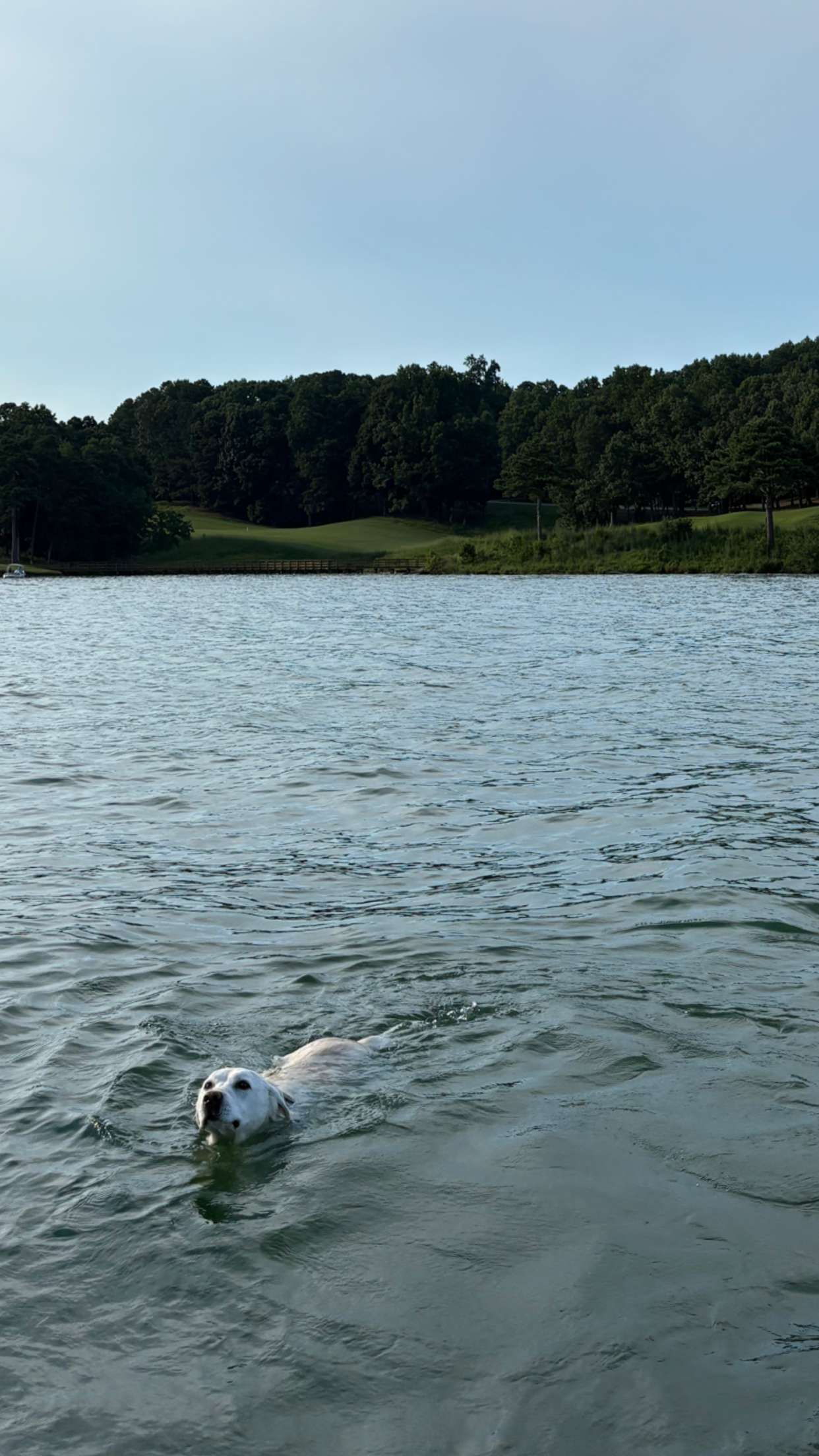 mia_sweitz snapchat image archive image