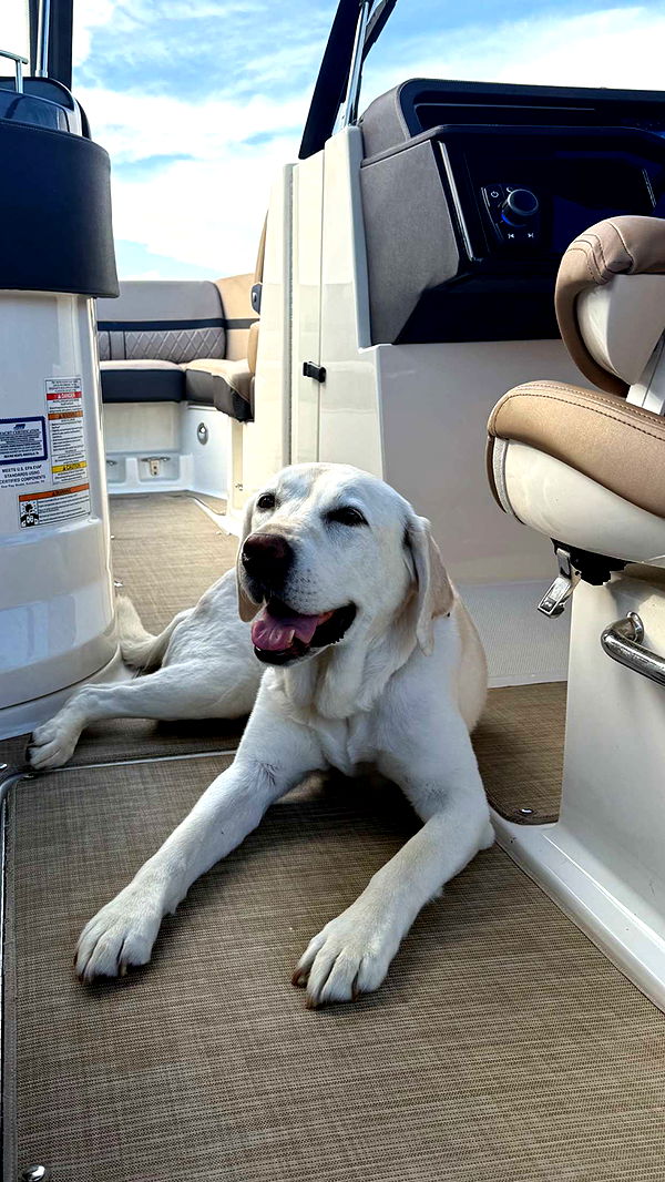 mia_sweitz image ~ Altpins