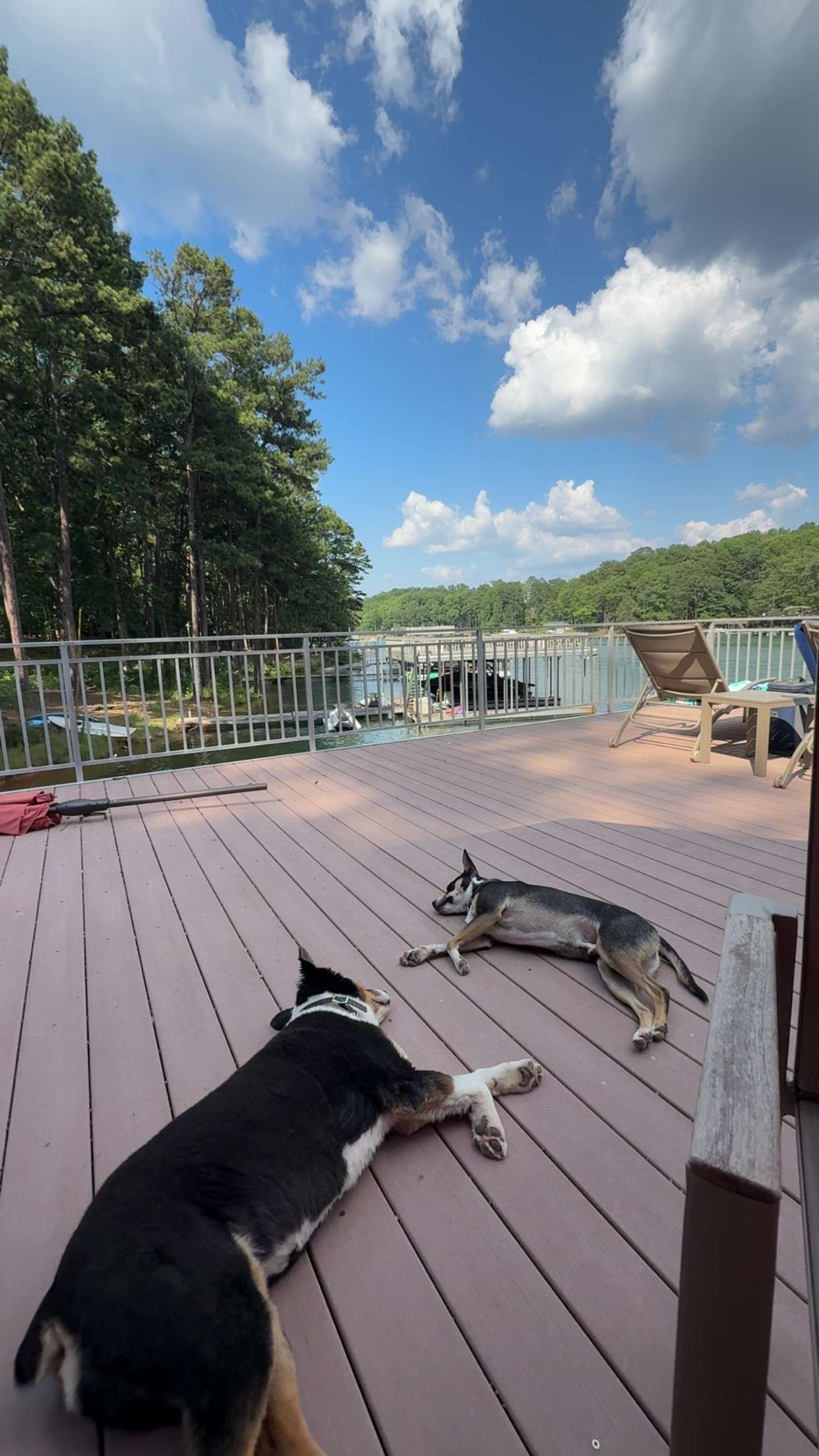 mia_sweitz snapchat image archive image