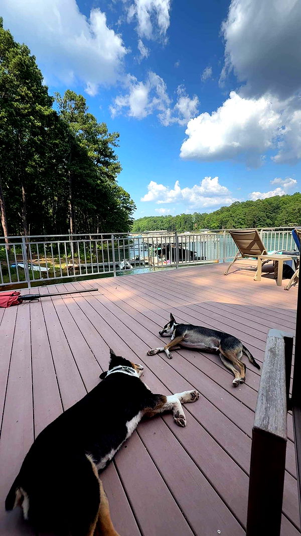 mia_sweitz image ~ Altpins