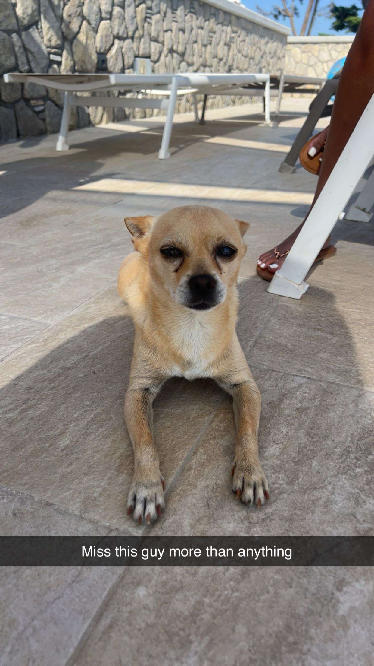 mia_sweitz snapchat image archive image