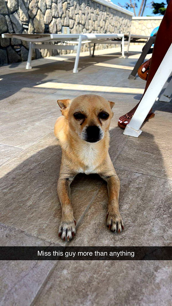 mia_sweitz image ~ Altpins