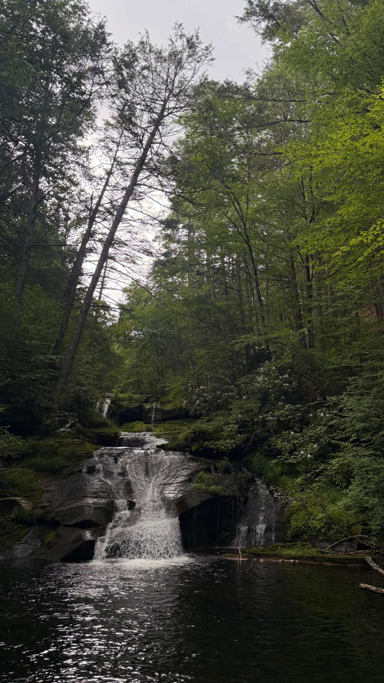 mia_sweitz snapchat image archive image