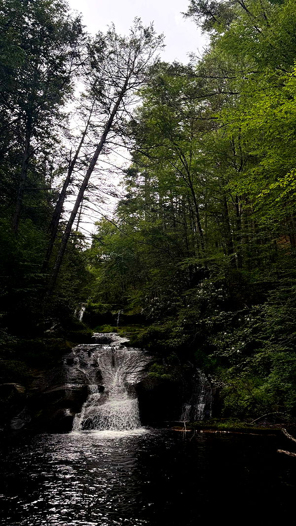 mia_sweitz image ~ Altpins