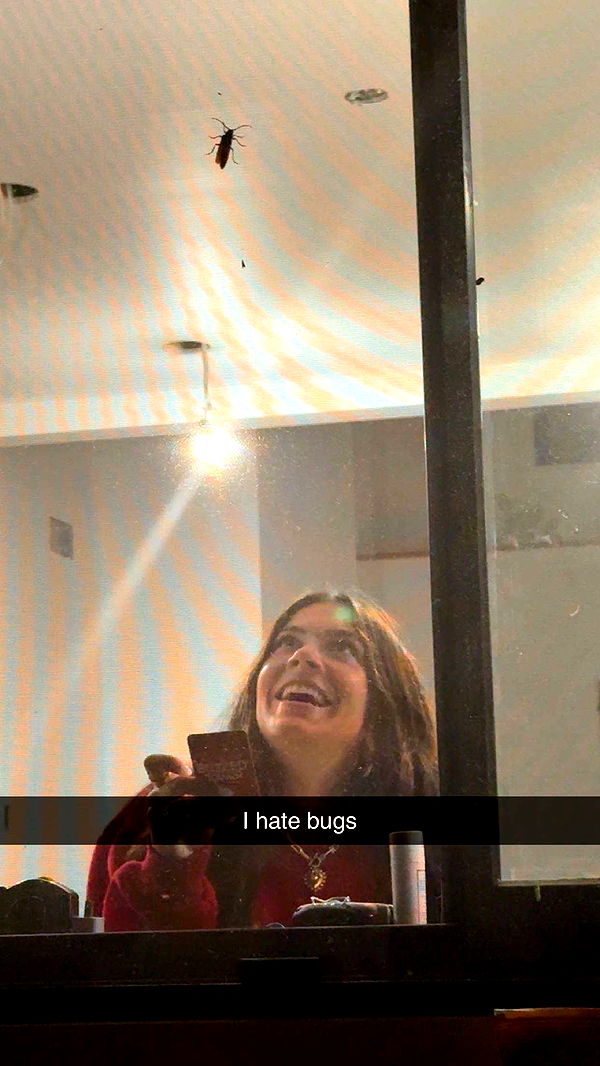 mia_sweitz image ~ Altpins