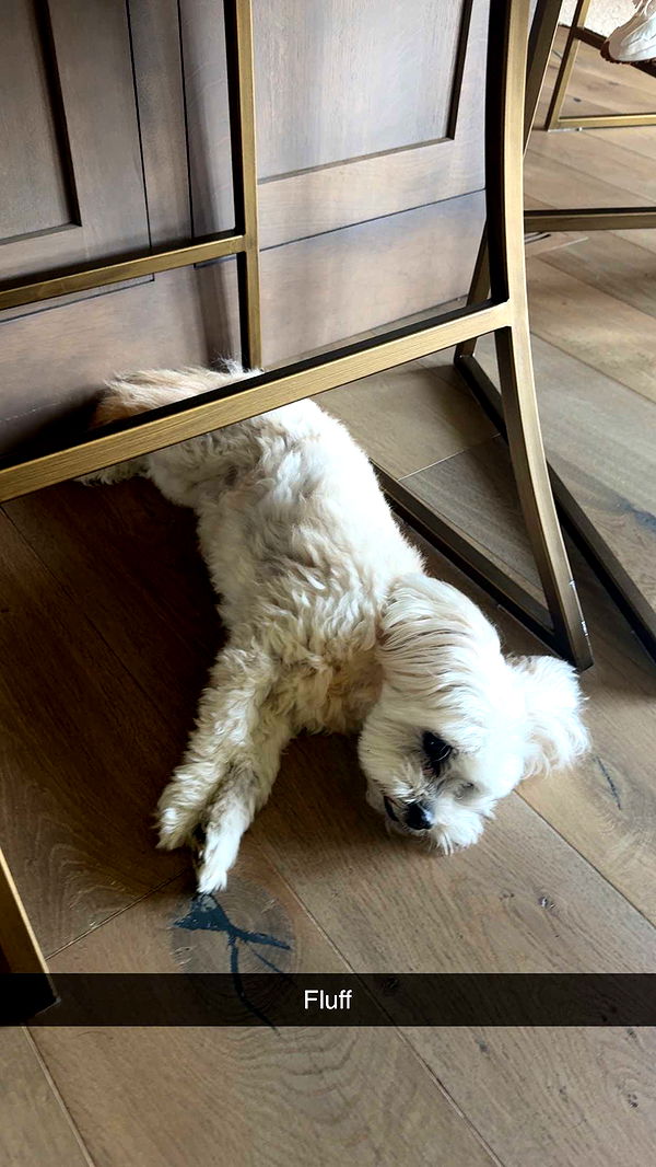 mia_sweitz image ~ Altpins