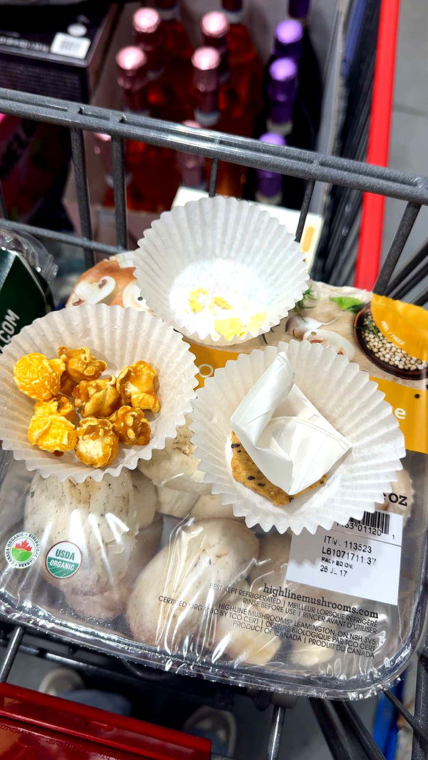 mia_sweitz image ~ Altpins