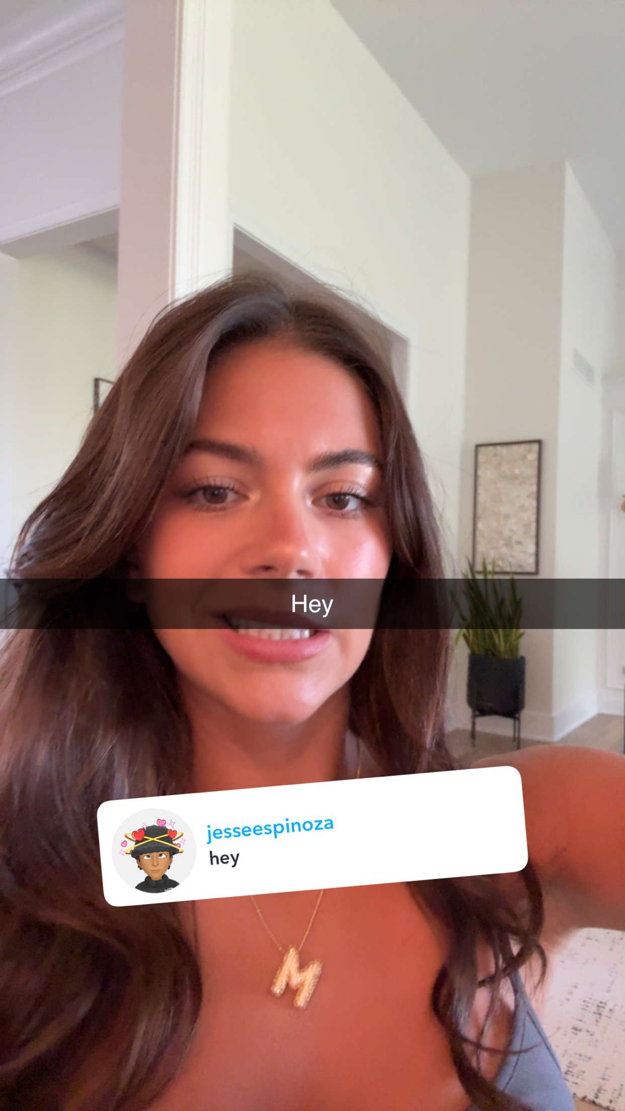 mia_sweitz snapchat image archive image