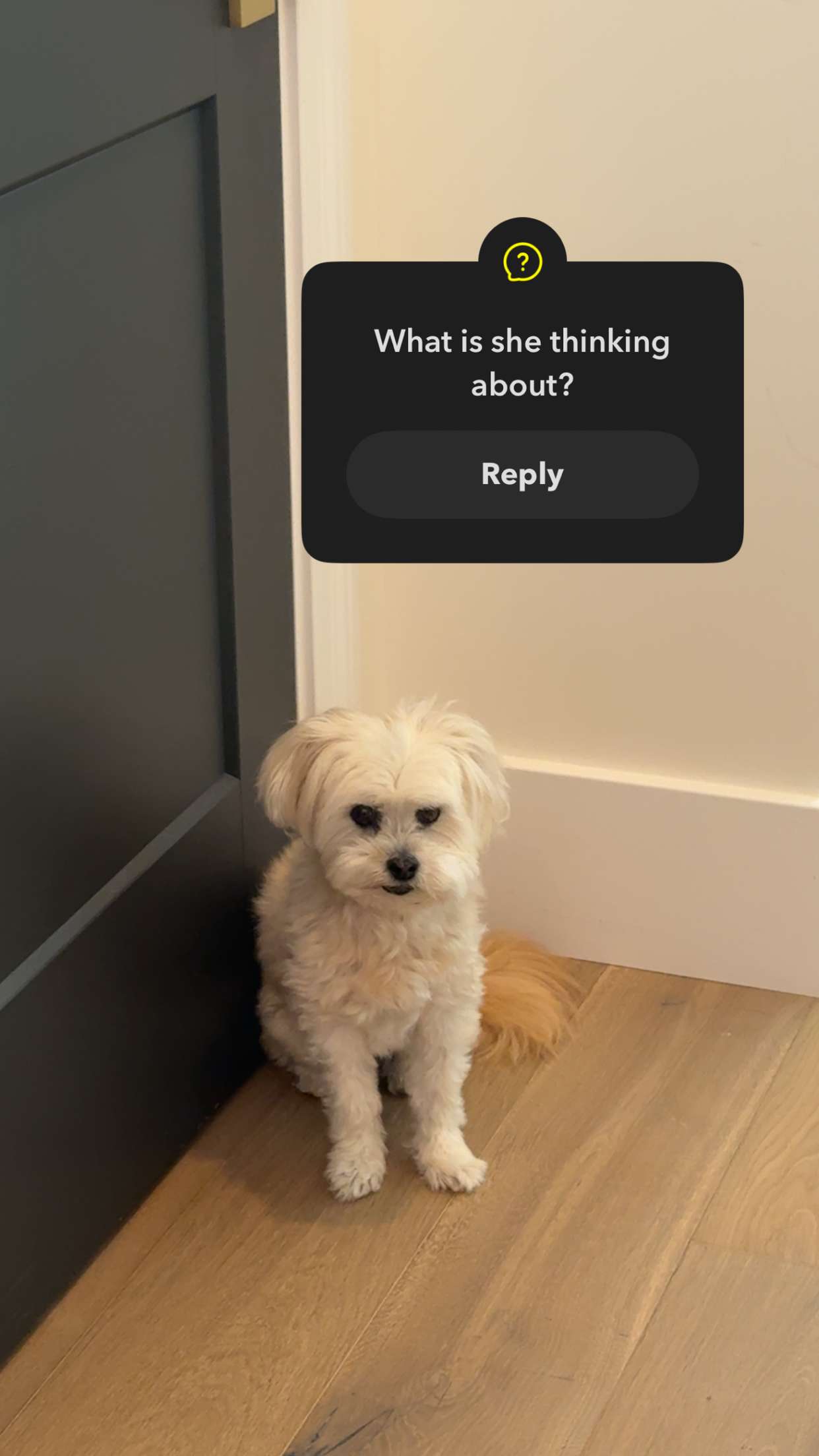 mia_sweitz snapchat image archive image