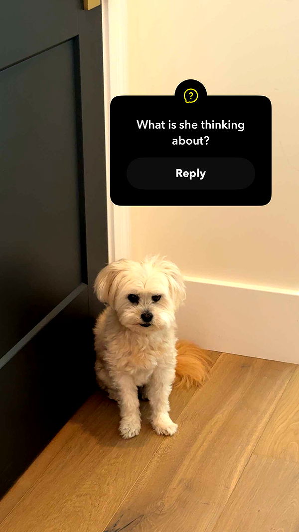 mia_sweitz image ~ Altpins