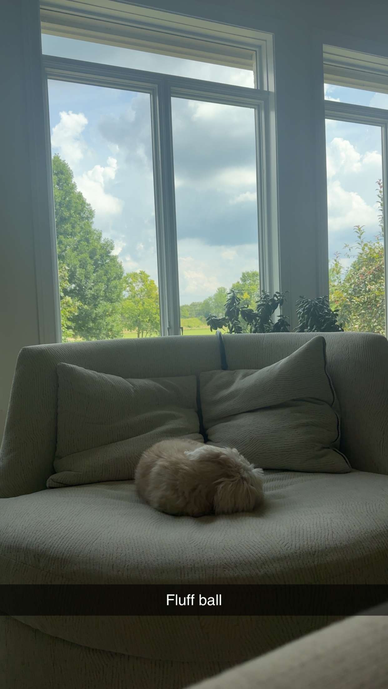 mia_sweitz snapchat image archive image