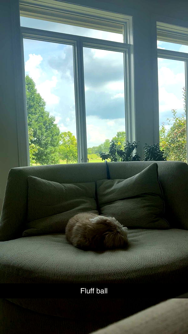 mia_sweitz image ~ Altpins