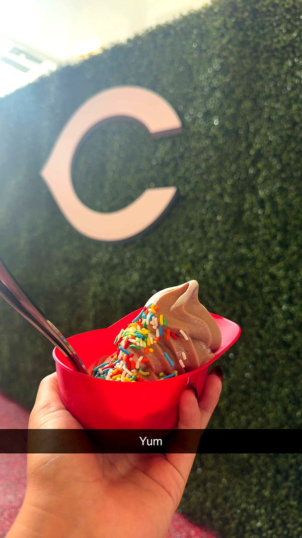 mia_sweitz image ~ Altpins