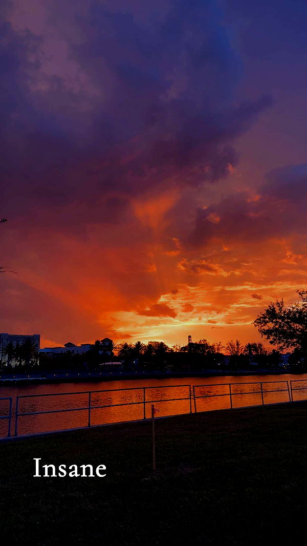 mia_sweitz image ~ Altpins