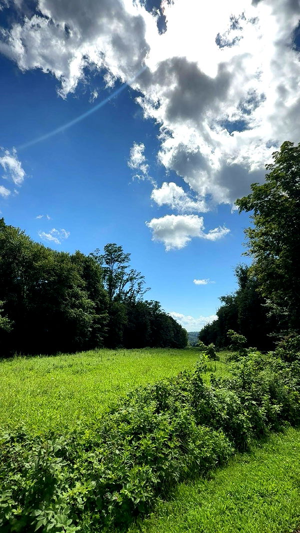 mia_sweitz image ~ Altpins