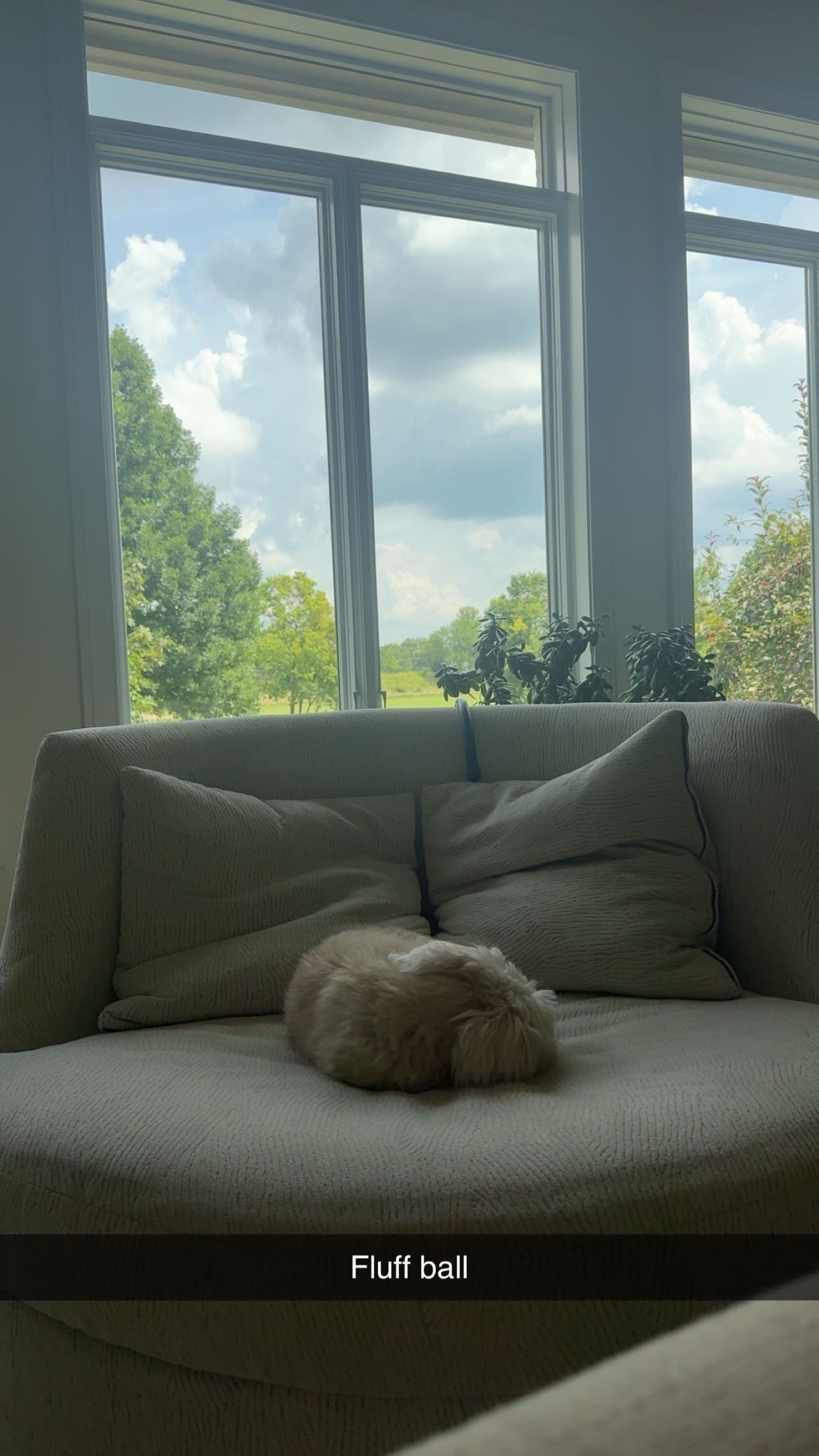 mia_sweitz snapchat image archive image