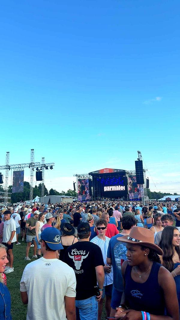 mia_sweitz image ~ Altpins