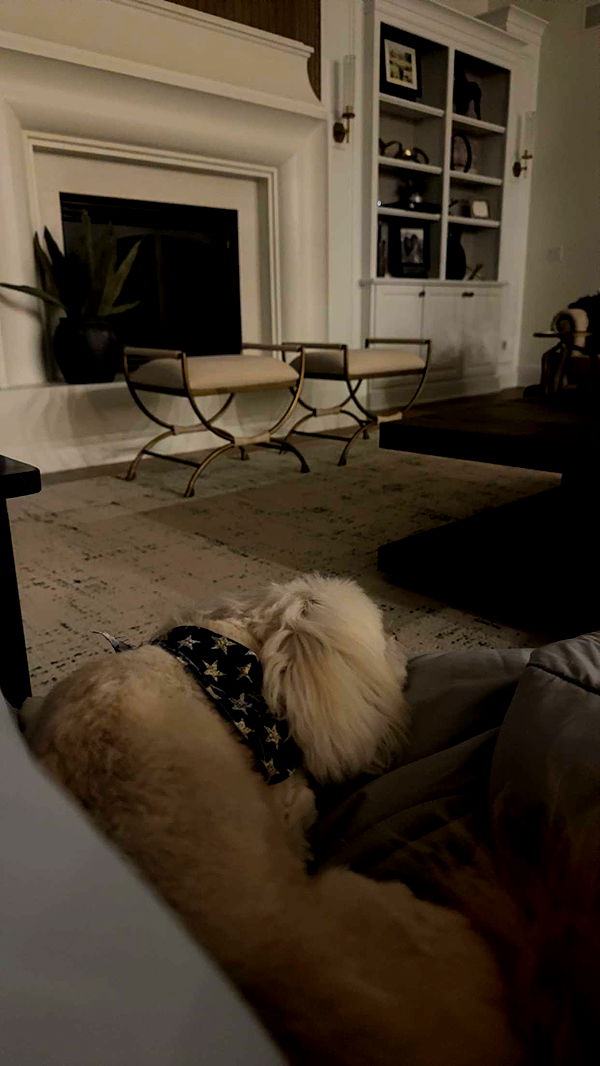 mia_sweitz image ~ Altpins