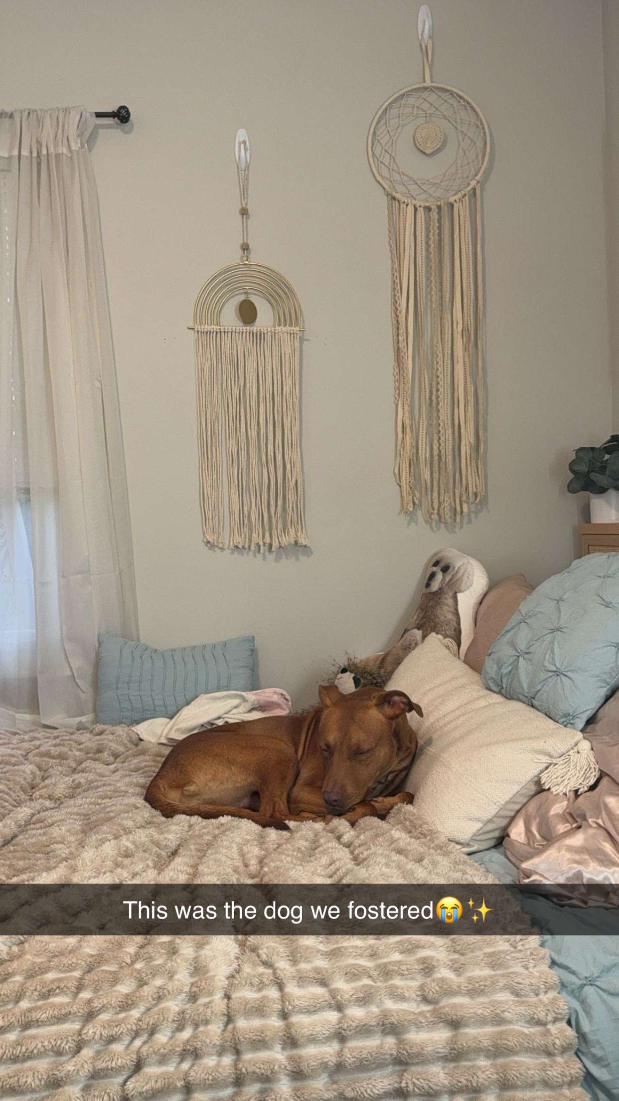 mia_sweitz snapchat image archive image