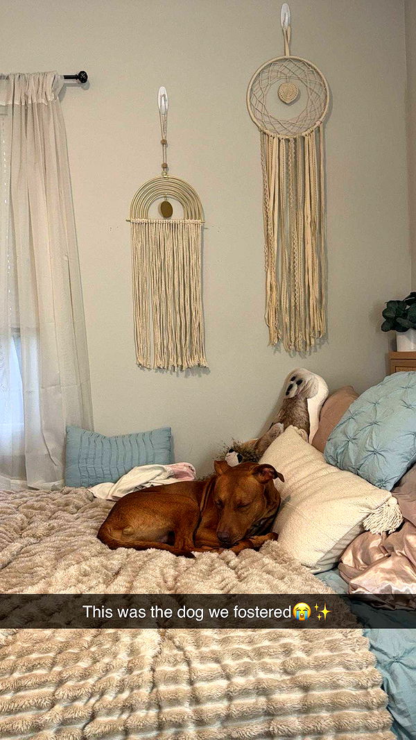 mia_sweitz image ~ Altpins