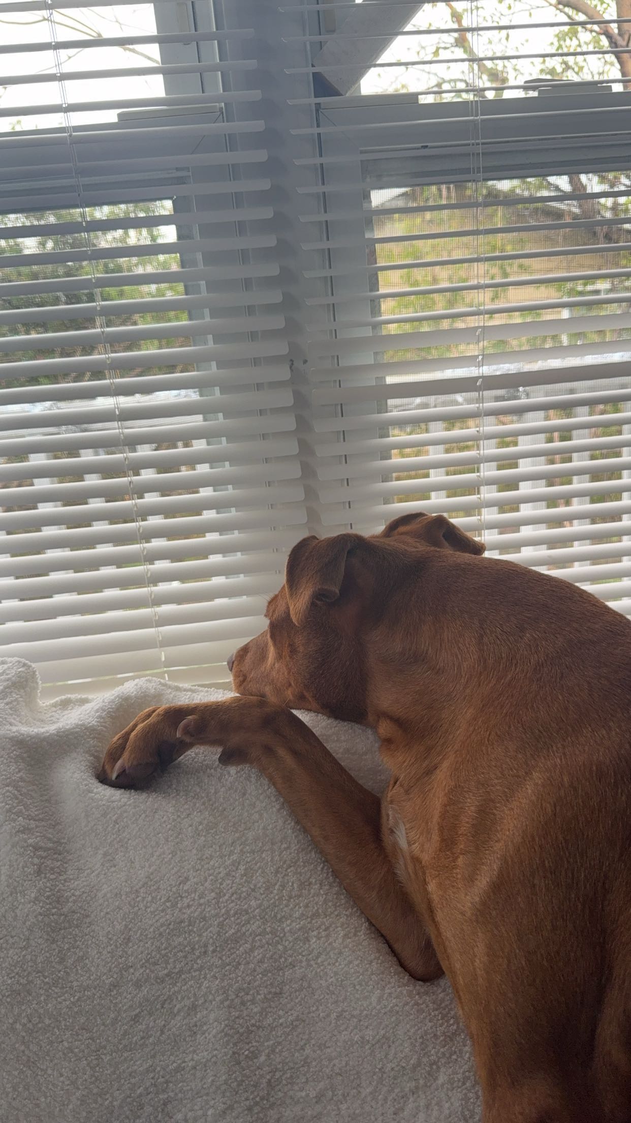 mia_sweitz snapchat image archive image