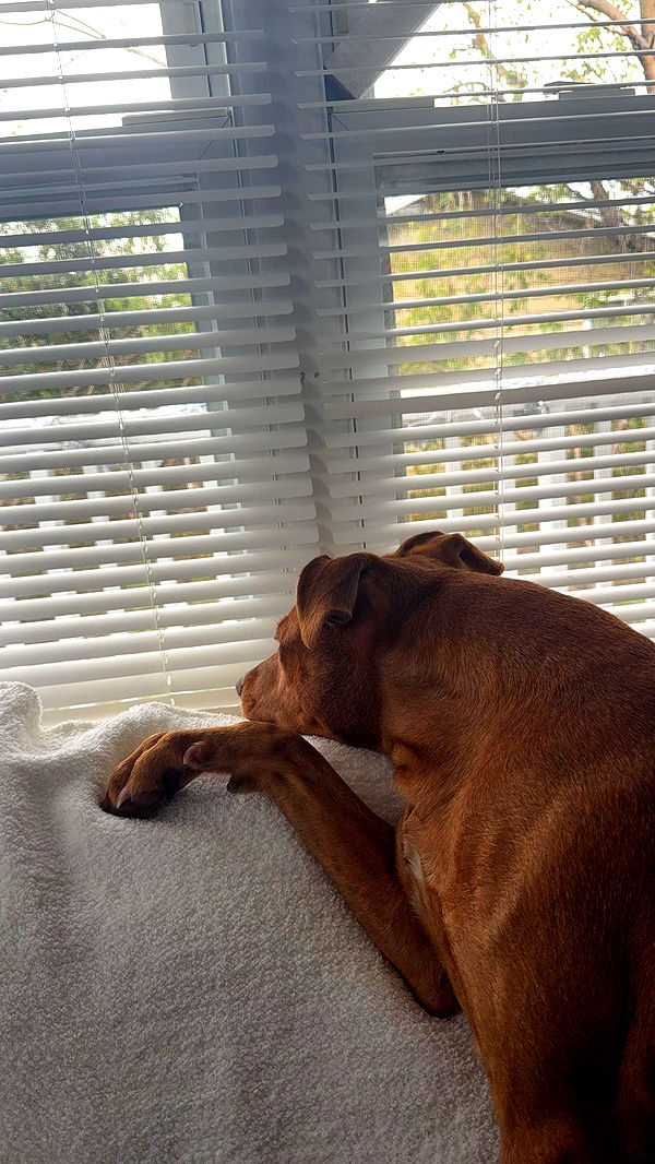 mia_sweitz image ~ Altpins