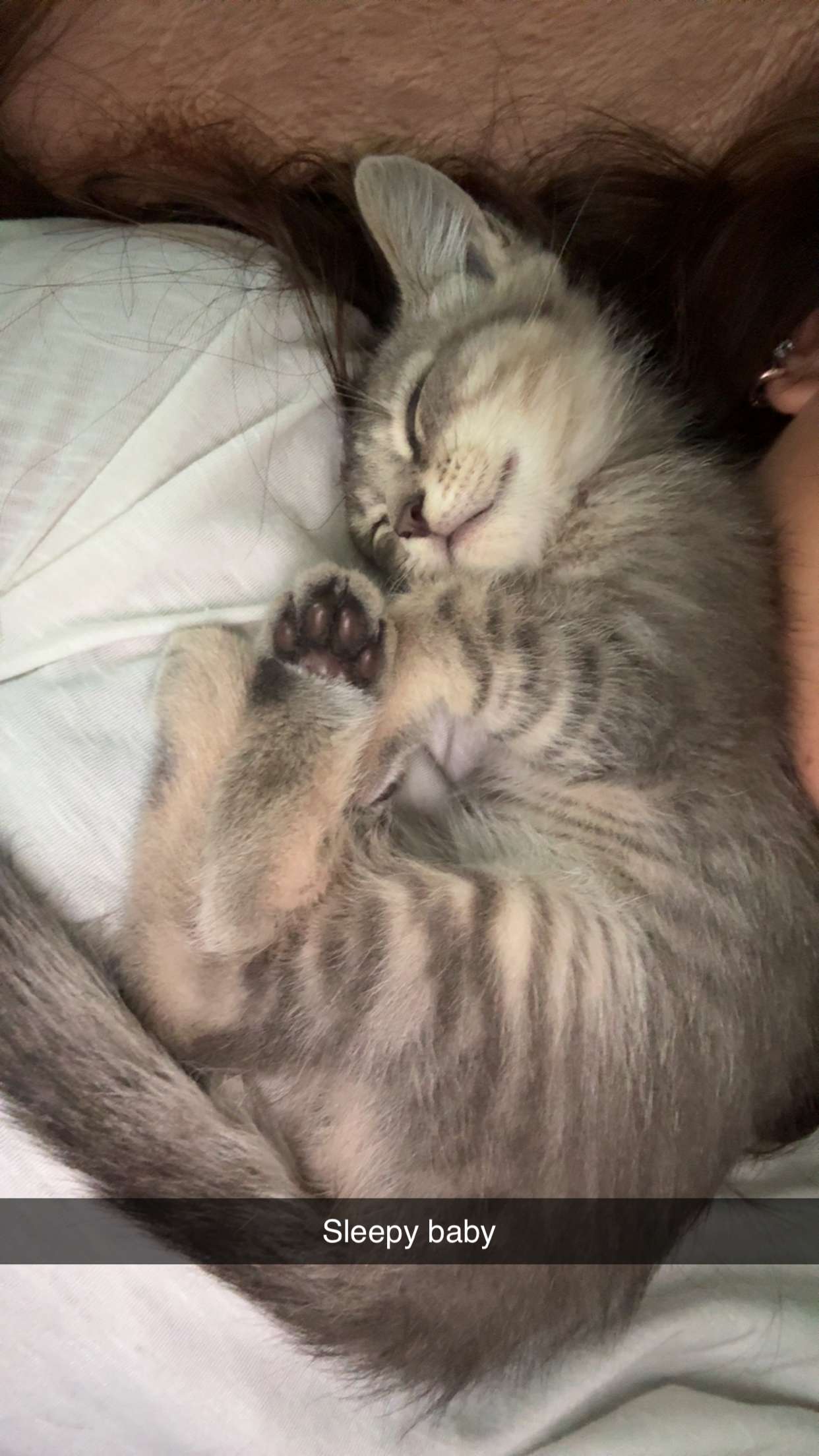 mia_sweitz snapchat image archive image