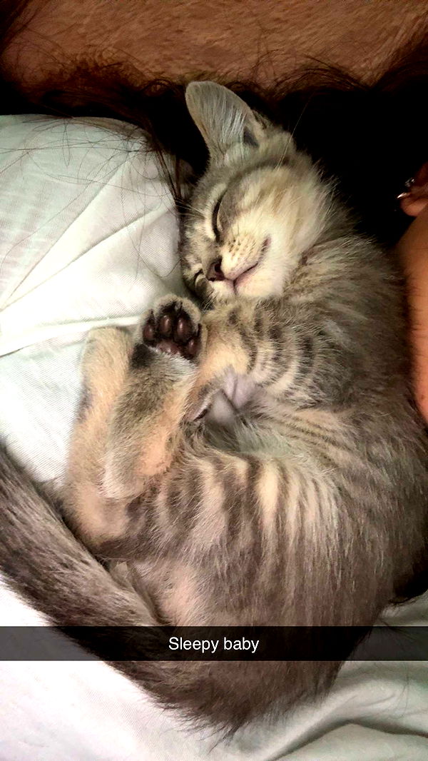 mia_sweitz image ~ Altpins