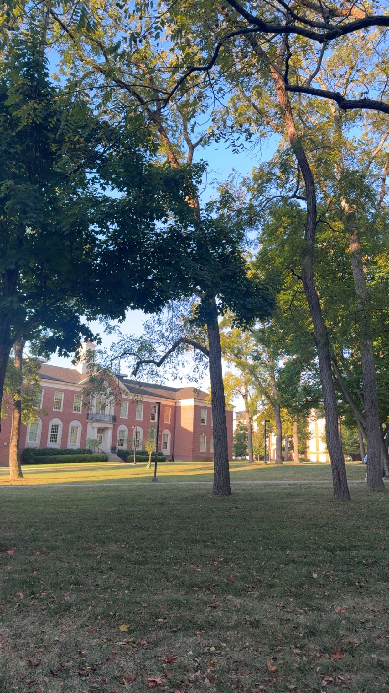 mia_sweitz snapchat image archive image