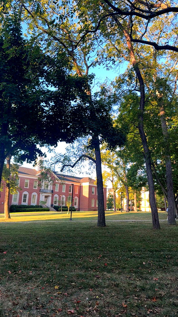 mia_sweitz image ~ Altpins