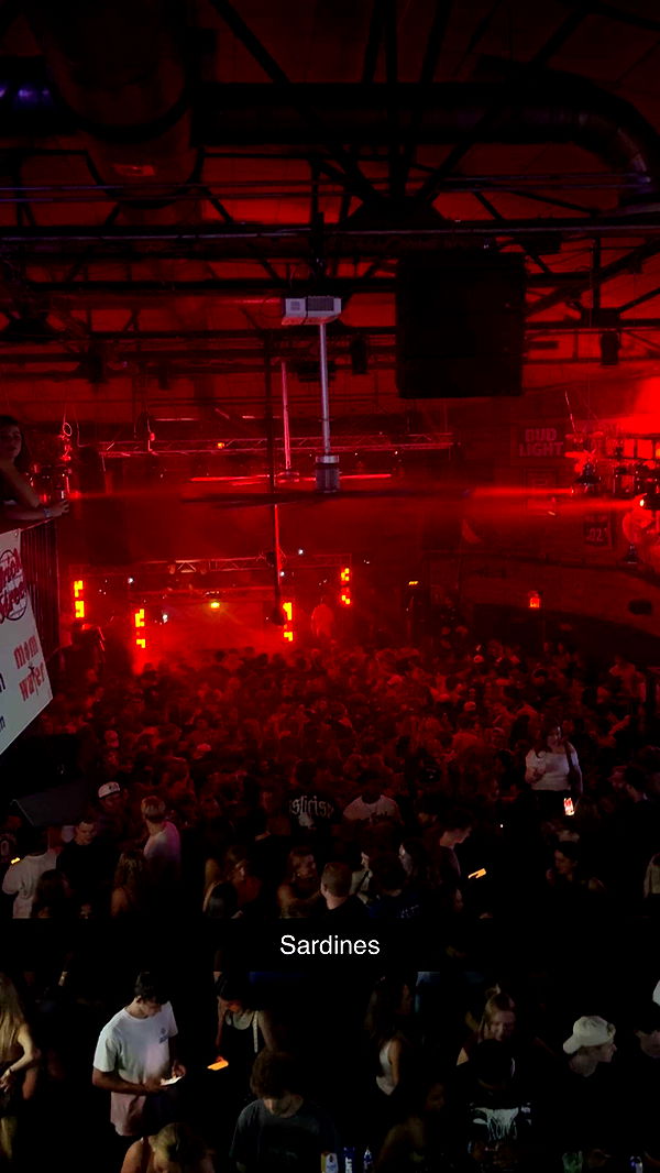 mia_sweitz image ~ Altpins